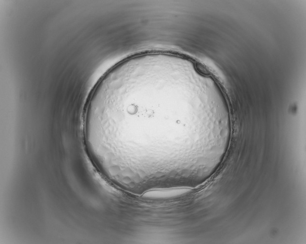 X0000089891287200707262222