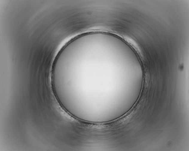 X0000089891288200707262222