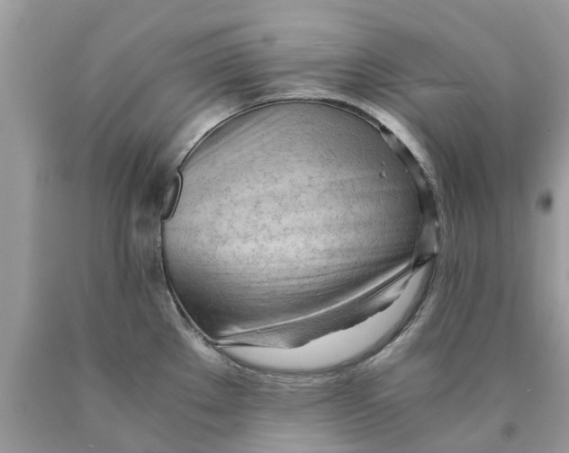 X0000089891289200707262222