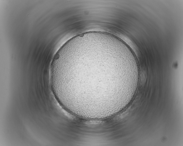 X0000089891290200707262222