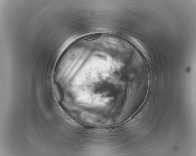 X0000089891291200707262222