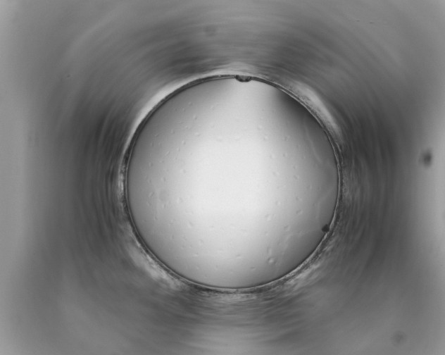 X0000089891292200707262222