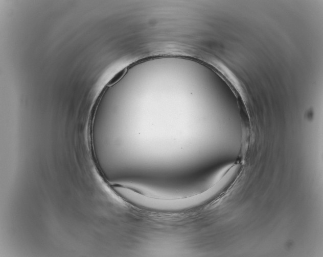 X0000089891293200707262222