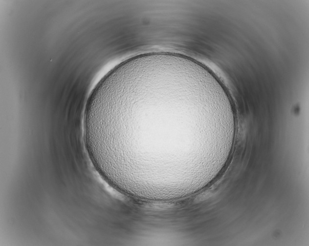 X0000089891294200707262222