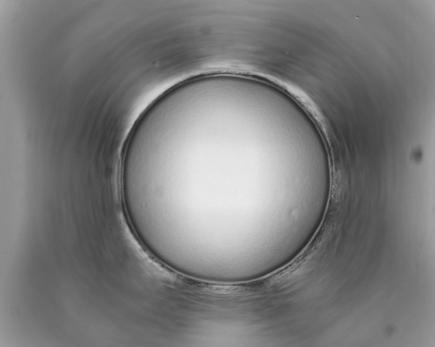 X0000089891295200707262222