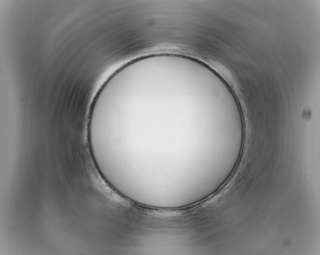 X0000089891296200707262222