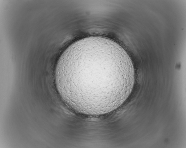 X0000089891297200707262221