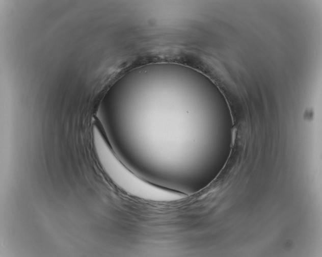 X0000089891298200707262221