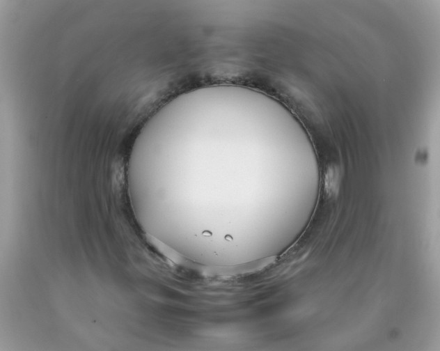 X0000089891299200707262221