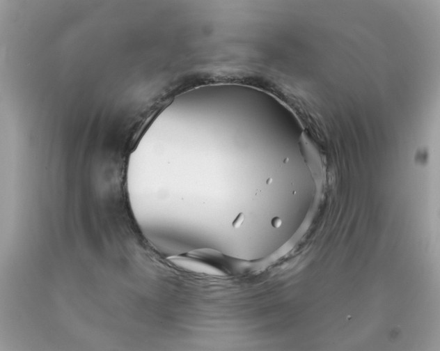 X0000089891300200707262221