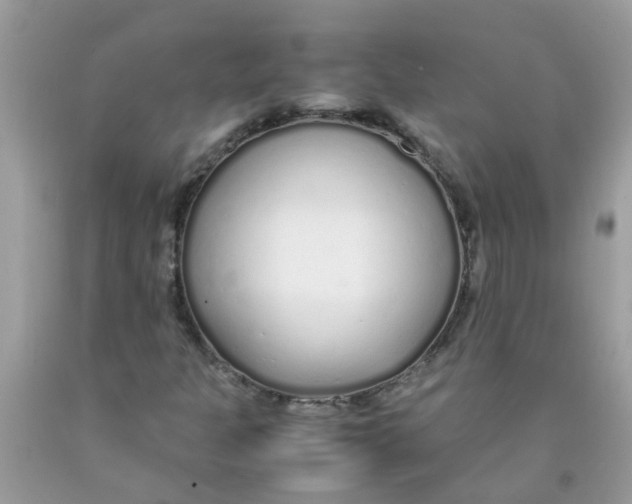 X0000089891301200707262221