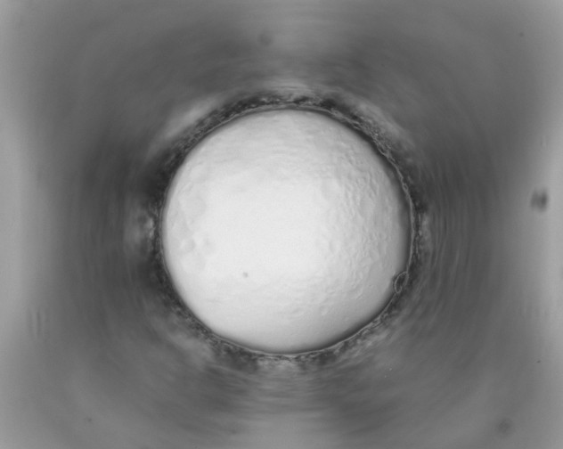 X0000089891302200707262221