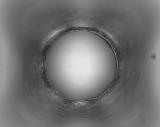 X0000089891303200707262221