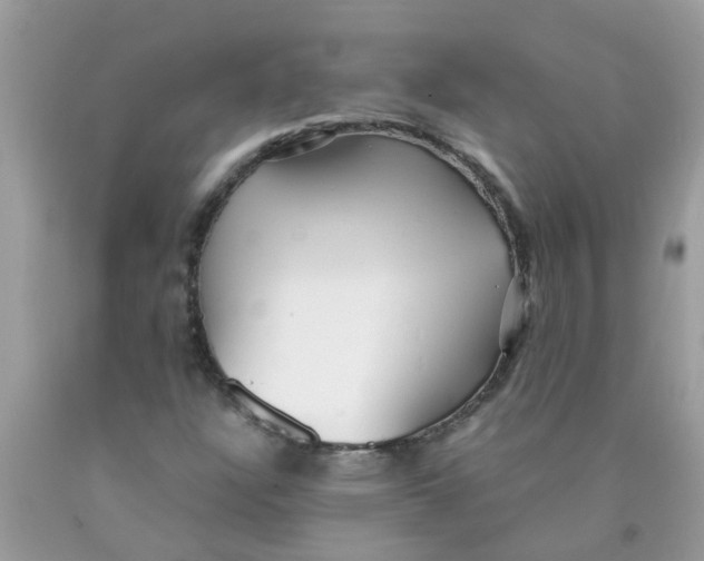 X0000089891304200707262221