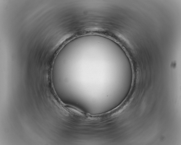 X0000089891305200707262221