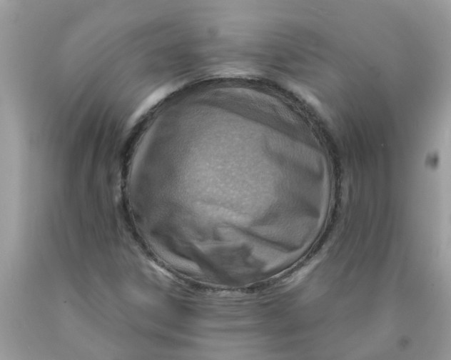 X0000089891306200707262221