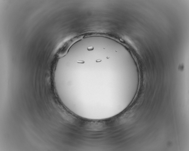 X0000089891307200707262221