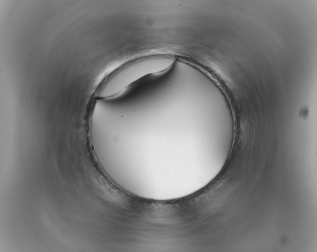 X0000089891308200707262221