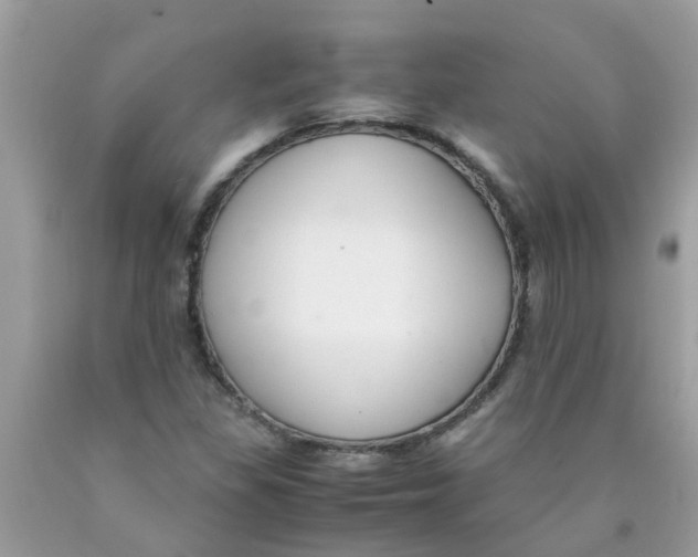 X0000089891309200707262221