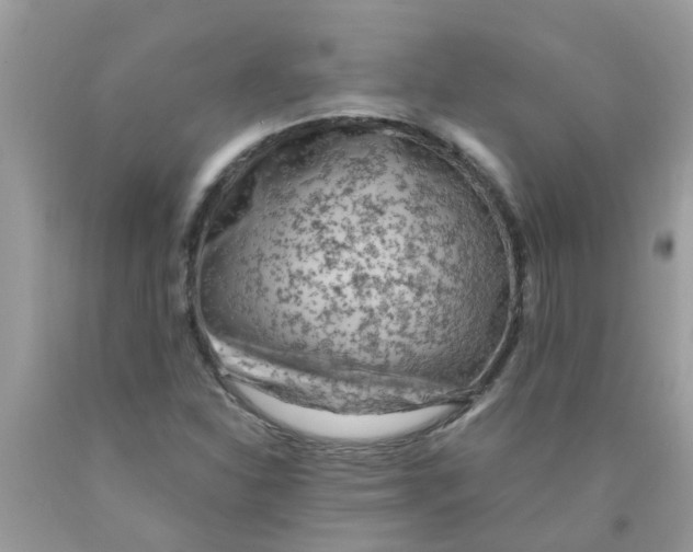 X0000089891310200707262221