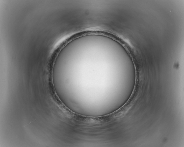 X0000089891311200707262221