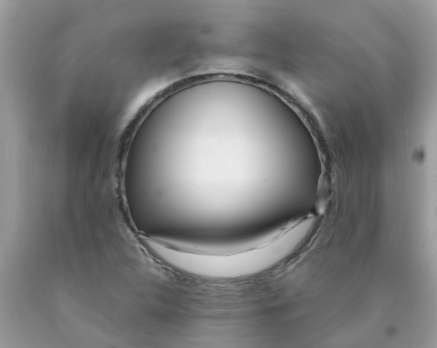 X0000089891312200707262221