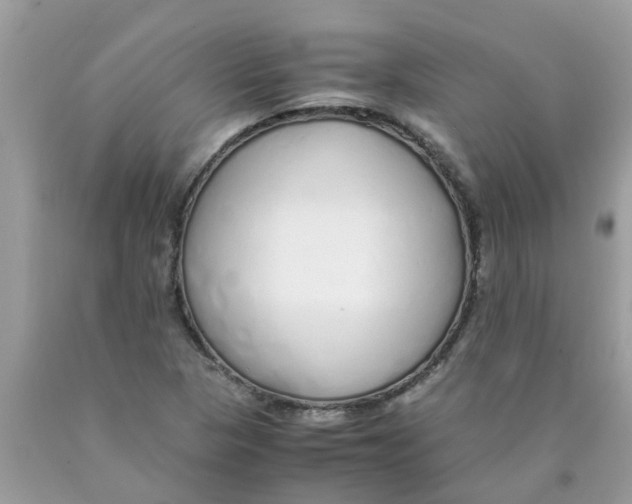 X0000089891313200707262222