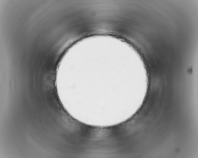 X0000089891314200707262222