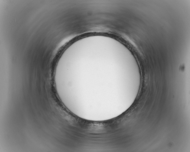 X0000089891315200707262222