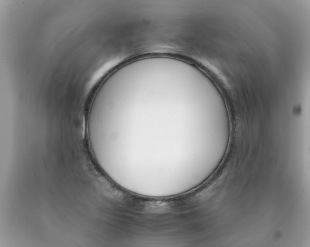 X0000089891317200707262222