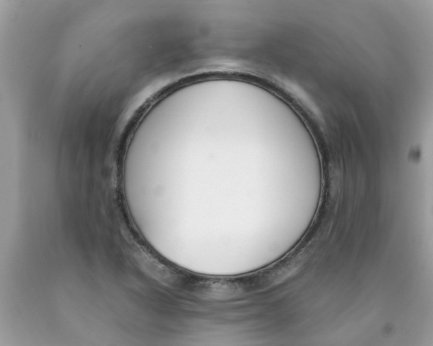 X0000089891318200707262222