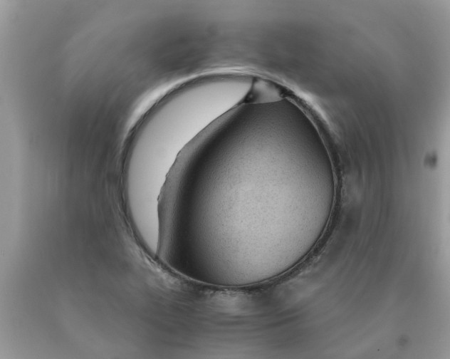 X0000089891319200707262222