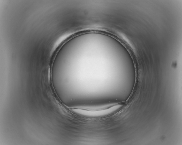 X0000089891320200707262222