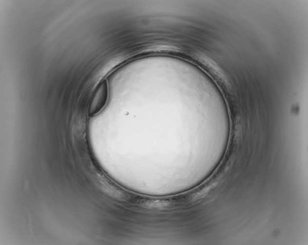 X0000089891321200707262222