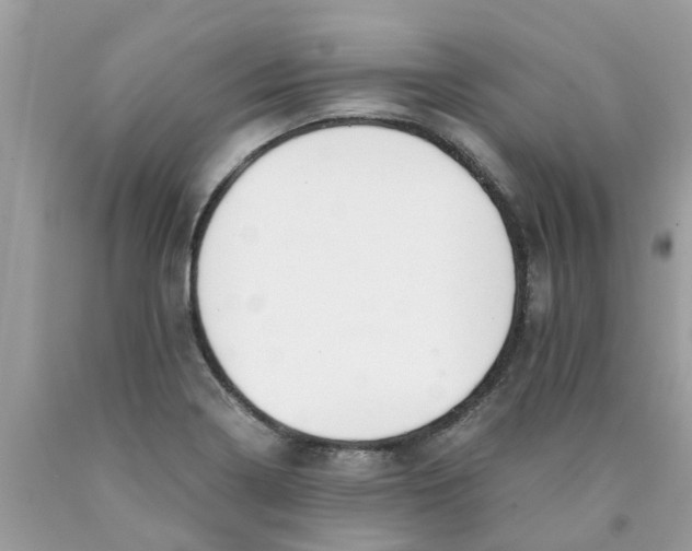 X0000089891322200707262222