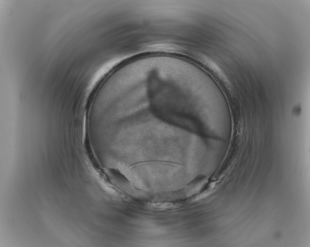 X0000089891323200707262222