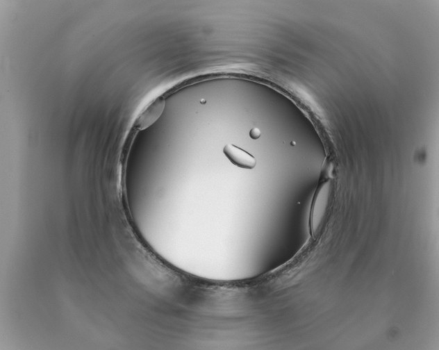 X0000089891324200707262222