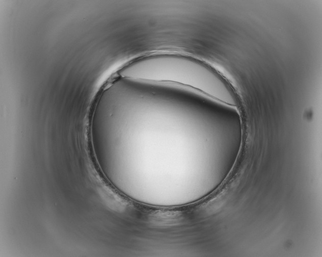 X0000089891325200707262222