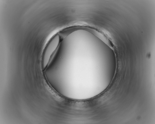 X0000089891326200707262222