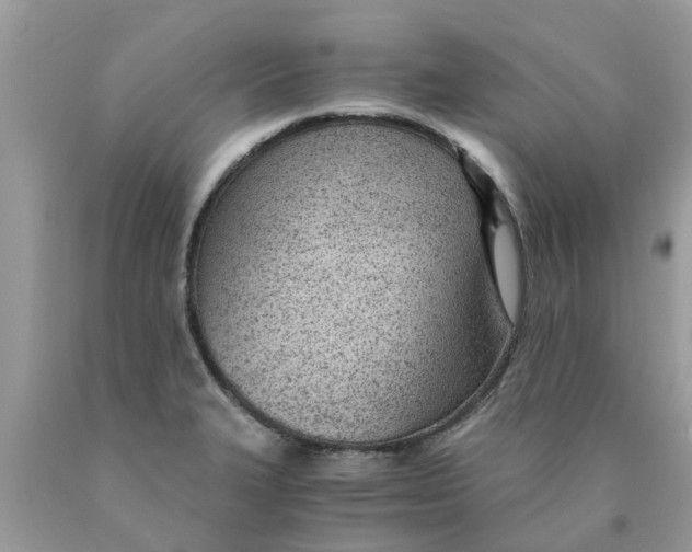 X0000089891327200707262222