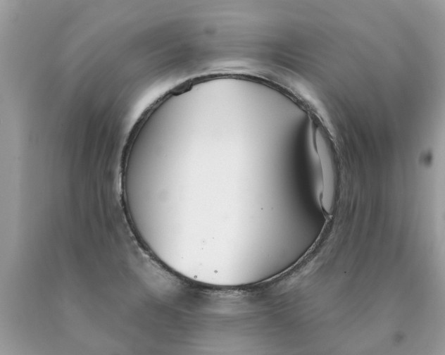 X0000089891328200707262222