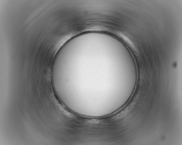 X0000089891329200707262222