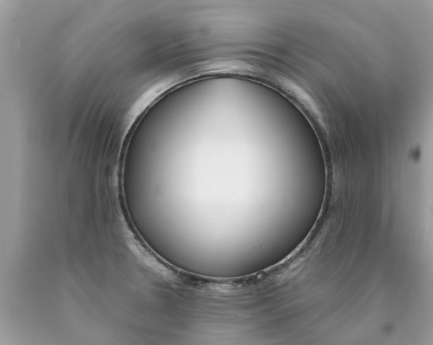 X0000089891330200707262222