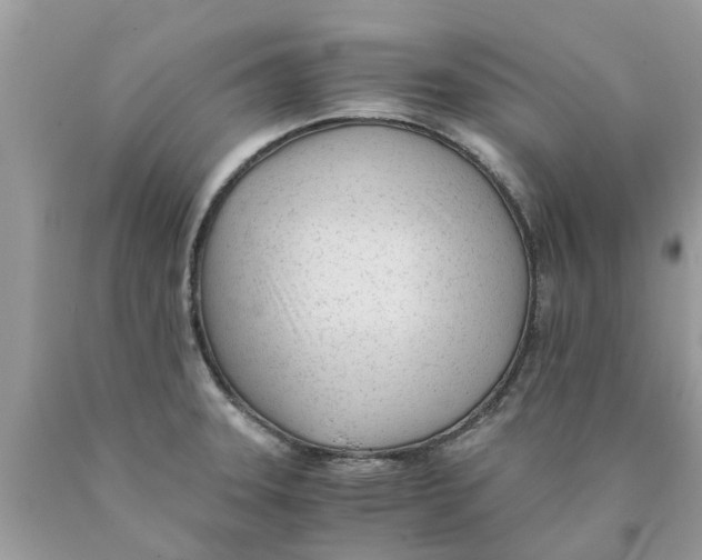 X0000089891331200707262222