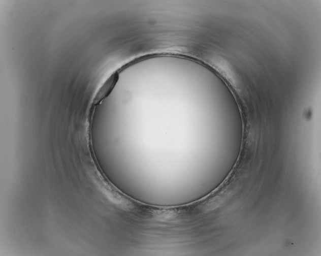 X0000089891332200707262222