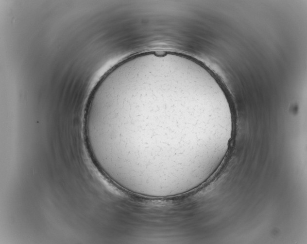 X0000089891333200707262222