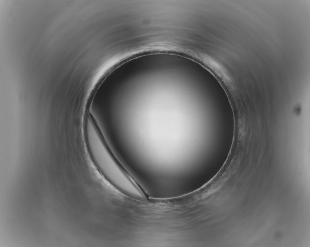 X0000089891334200707262222