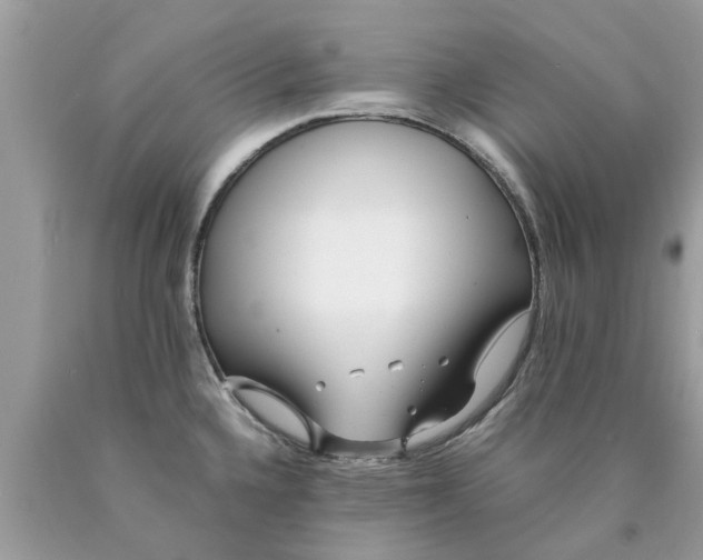 X0000089891336200707262222