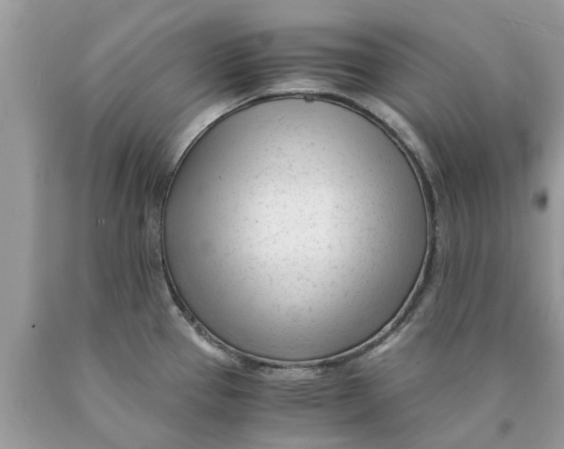 X0000089891337200707262222