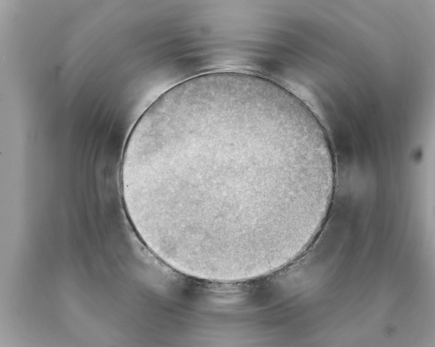 X0000089891338200707262222